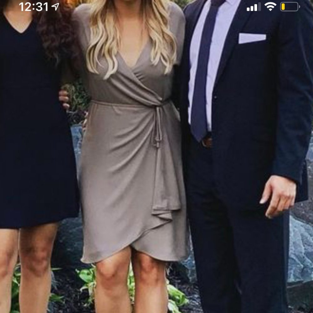 ARITZIA Babaton Wallace Dress